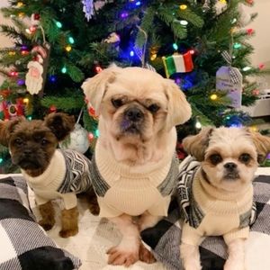 Meet your Posher, Josephine